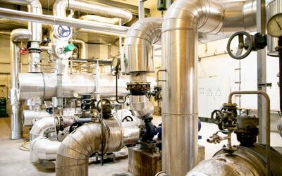 Energieeffizienz in der Lebensmittel-Produktion