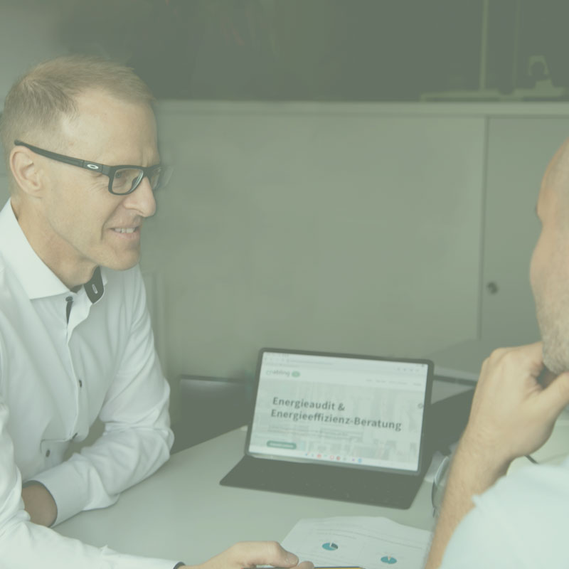 Gefoerderte-Beratung-Energieeffizienz-enabling-energy-armin-dieter